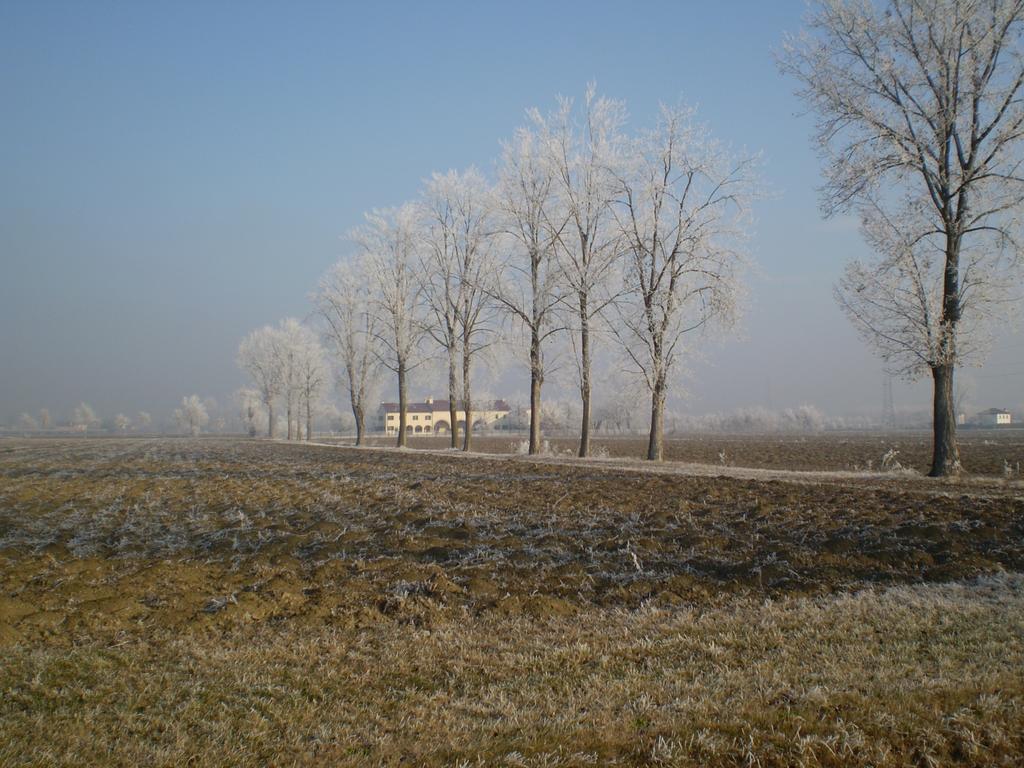Il Rifugio Del Poeta Guest House San Biagio di Callalta ภายนอก รูปภาพ